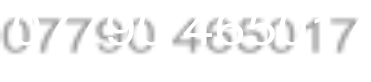 07790 465017